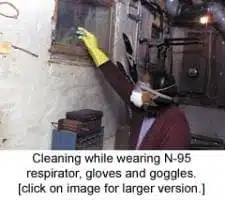 cleaningmold cleaningmold