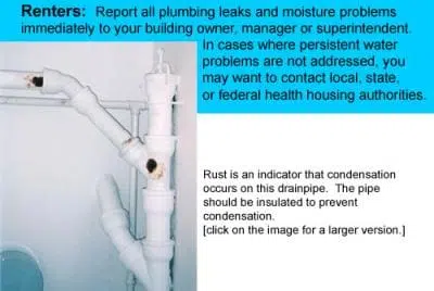 renters renters