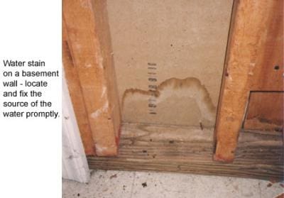 basementwall basementwall