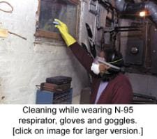 cleaningmold cleaningmold