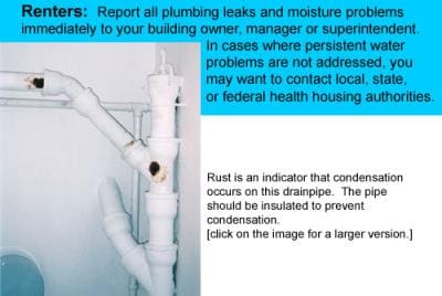 renters renters